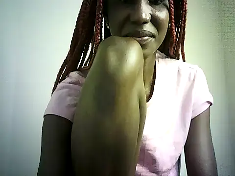 DelteAfriq webcam