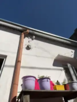 alicetgirlbr webcam