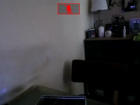Hgay6935 webcam