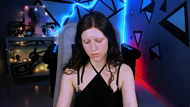 LidaDarknet webcam