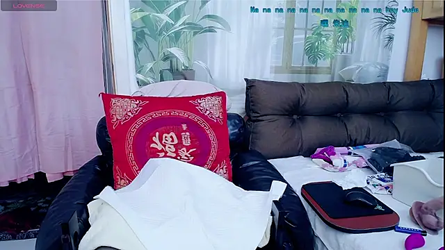 amysasa webcam