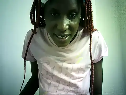 DelteAfriq webcam