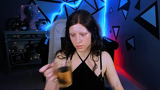 LidaDarknet webcam