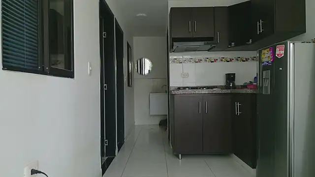 grey___27 webcam