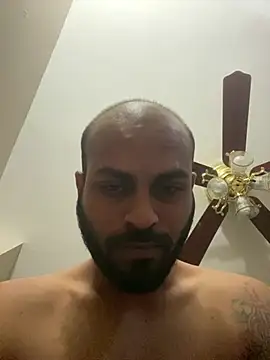 islandvybee55 webcam