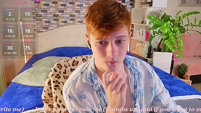 Allert_ webcam