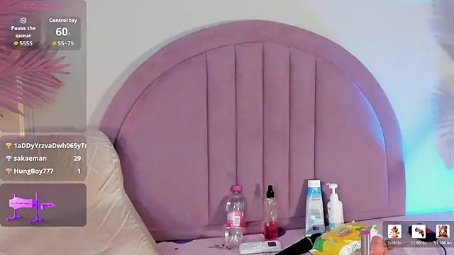 Nalapalmer webcam