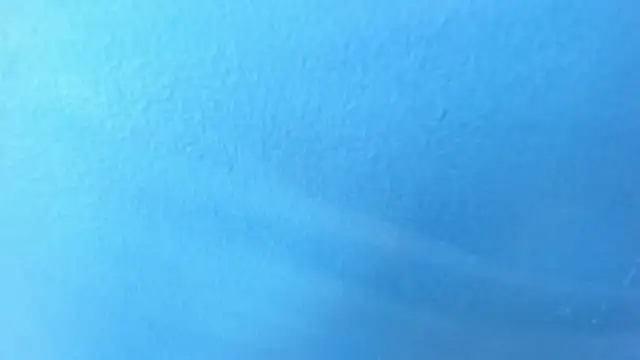 Charlie___Musk webcam
