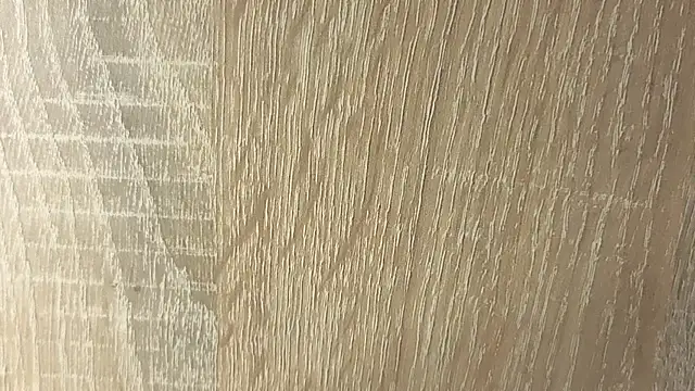 NoFace_Model webcam