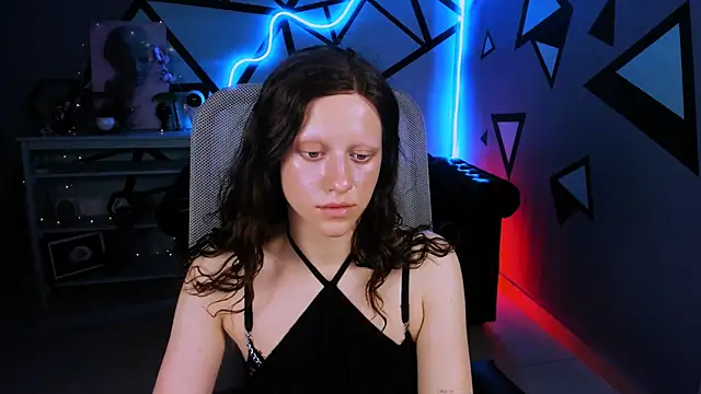 LidaDarknet webcam