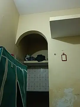 PUNJABI_Model4848