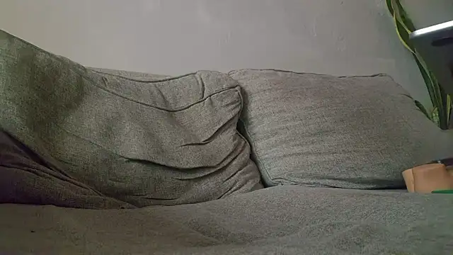 phranof_ webcam