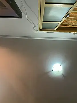 CoyoteDuMato webcam