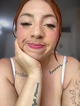 Sofhi_a20 webcam