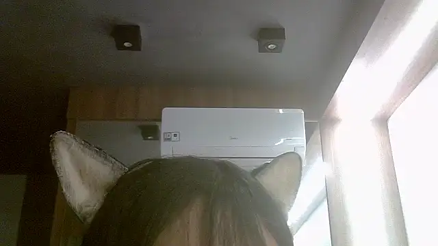SkinnyKitten webcam
