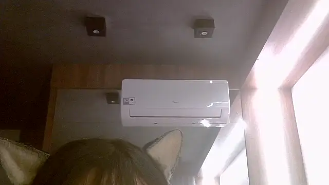 SkinnyKitten webcam