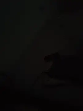_sweetSabrina- webcam