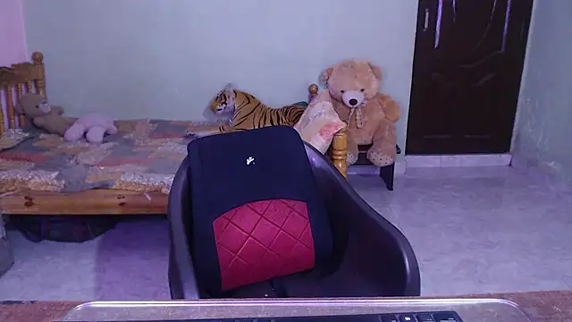Novapol11 webcam