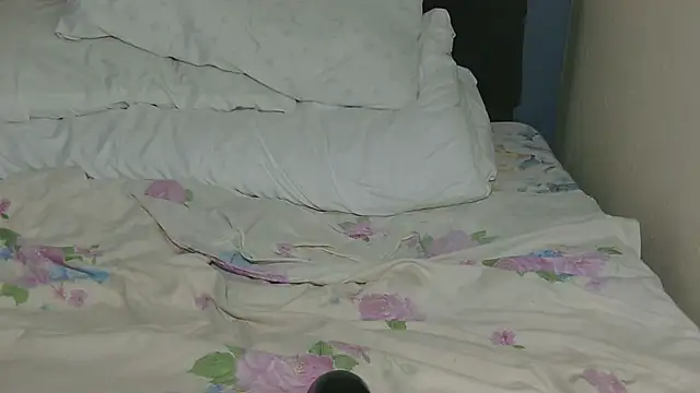 Dic_star webcam