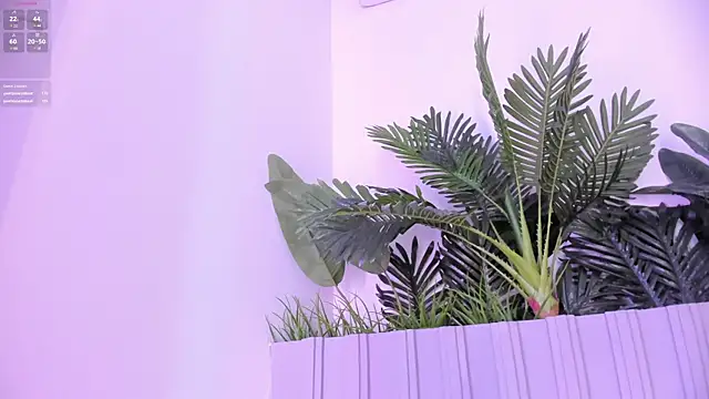 stephanymonroe
