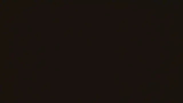 Maxpac_roccox webcam