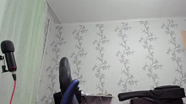 SanFrantsisko webcam
