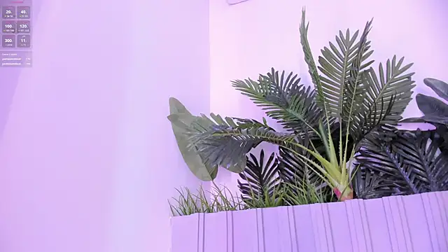 stephanymonroe webcam
