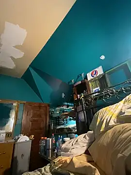 charactrzero webcam