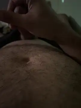 Panda_19cm webcam