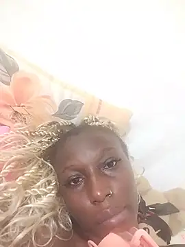 Aria_ah webcam