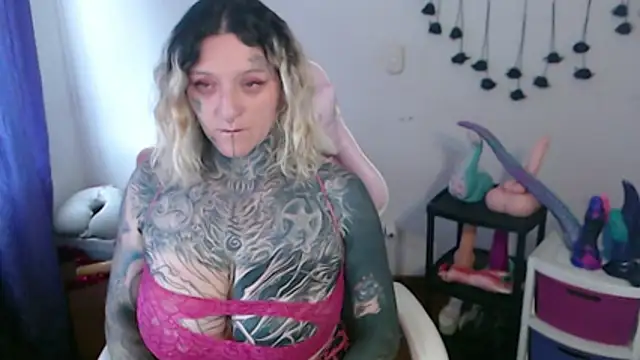 SLOPPYTITSS webcam