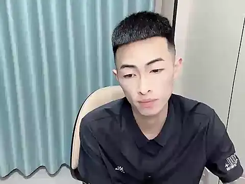 zn999 webcam