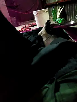 Bengali_BULL1 webcam