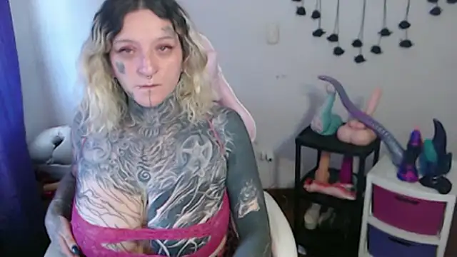 SLOPPYTITSS webcam