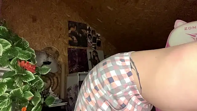 HeidiTian webcam