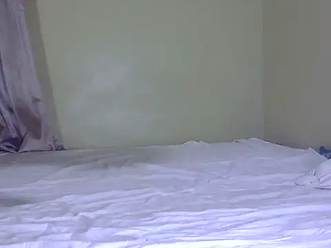 Hanypot webcam