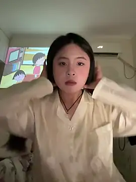 WS-tian webcam