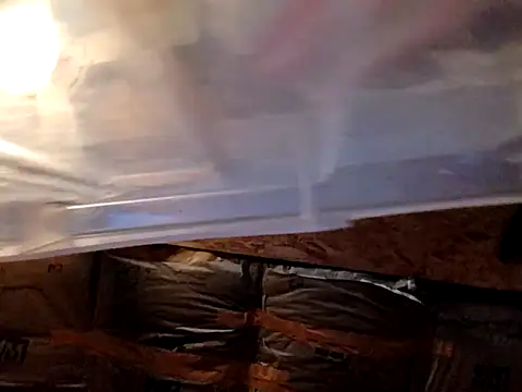 spundarella420 webcam