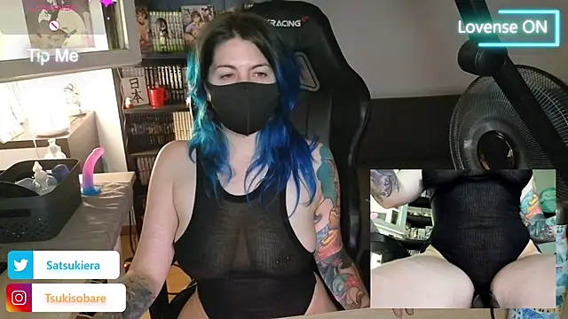 _Satsuki_ webcam