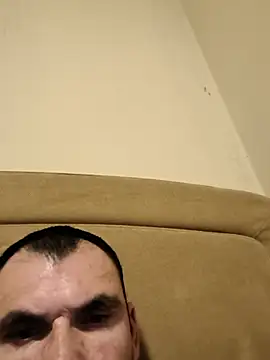 GoustL29141 webcam