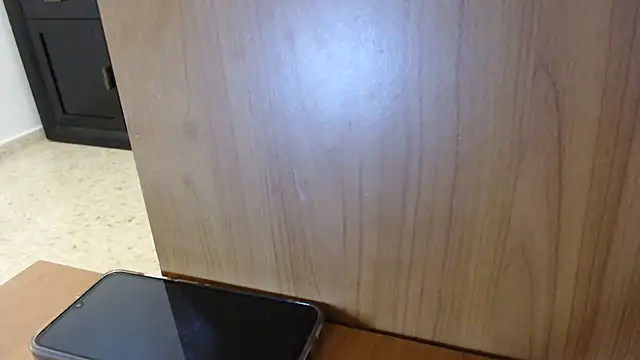 Pamela-StripX webcam
