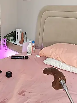 Liastarkk webcam