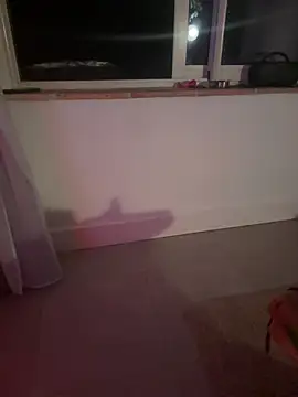 auplaisirs webcam