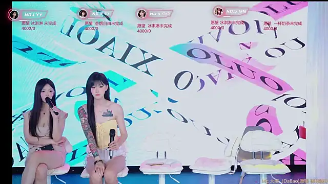 Chanel-001 webcam