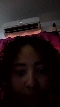 MIlan333X webcam