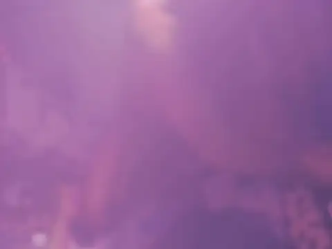 Floschae webcam