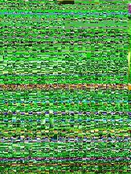 Hikomy- webcam