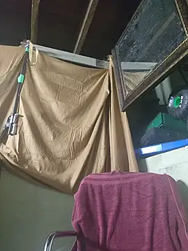 ultimateBWC webcam