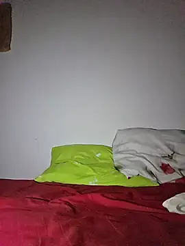 altinya webcam