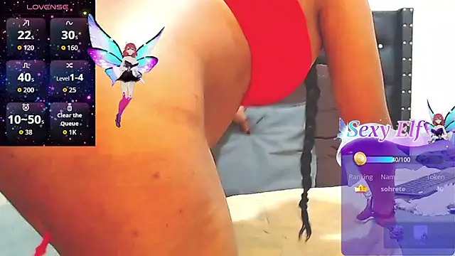 AnySugar webcam